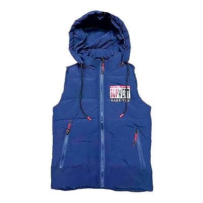 Жилет утеплённый демисезонный с капюшоном для мальчика House style SM2022-G115 синий 1